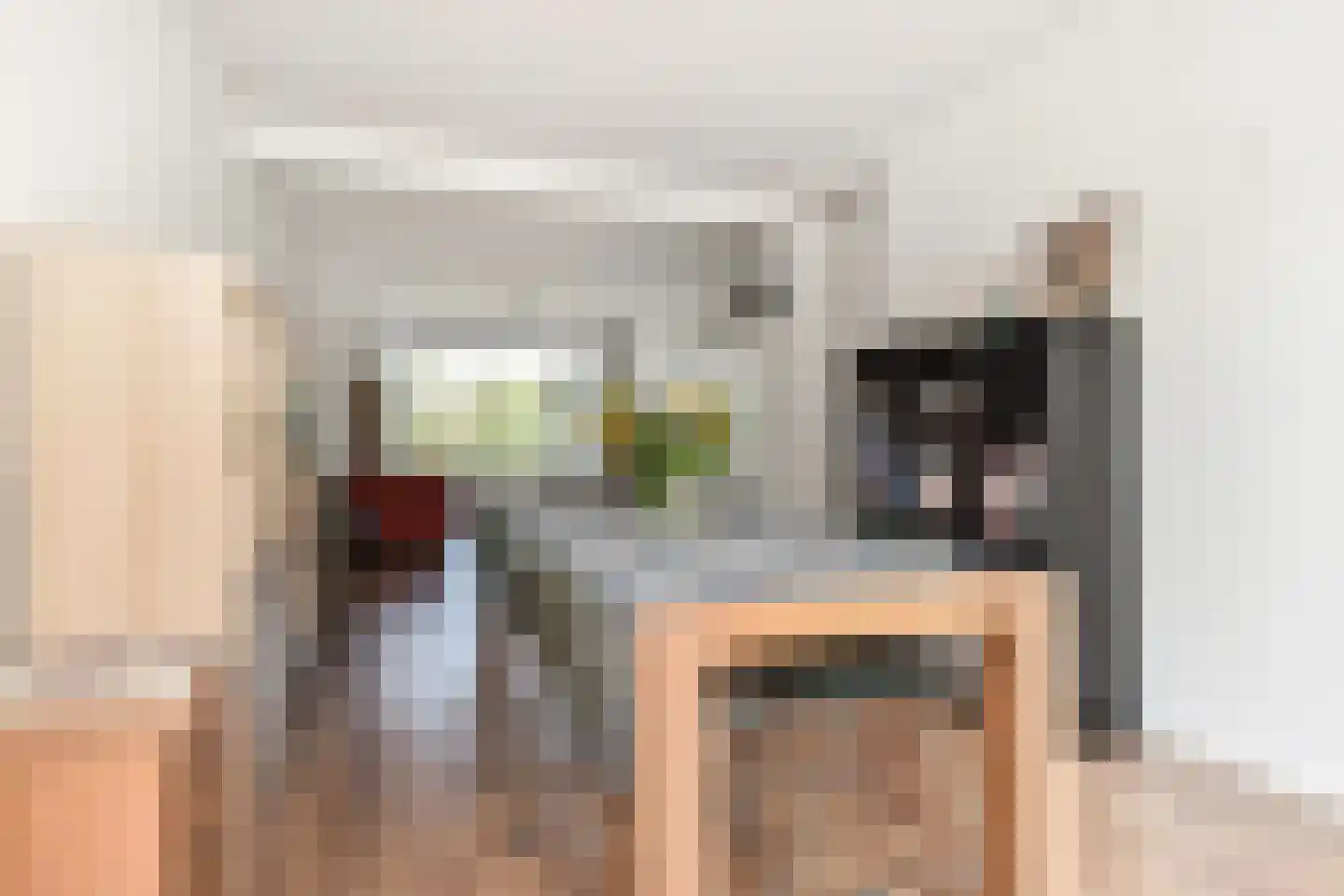 Segbroeklaan 248 Den Haag thumbnail 10