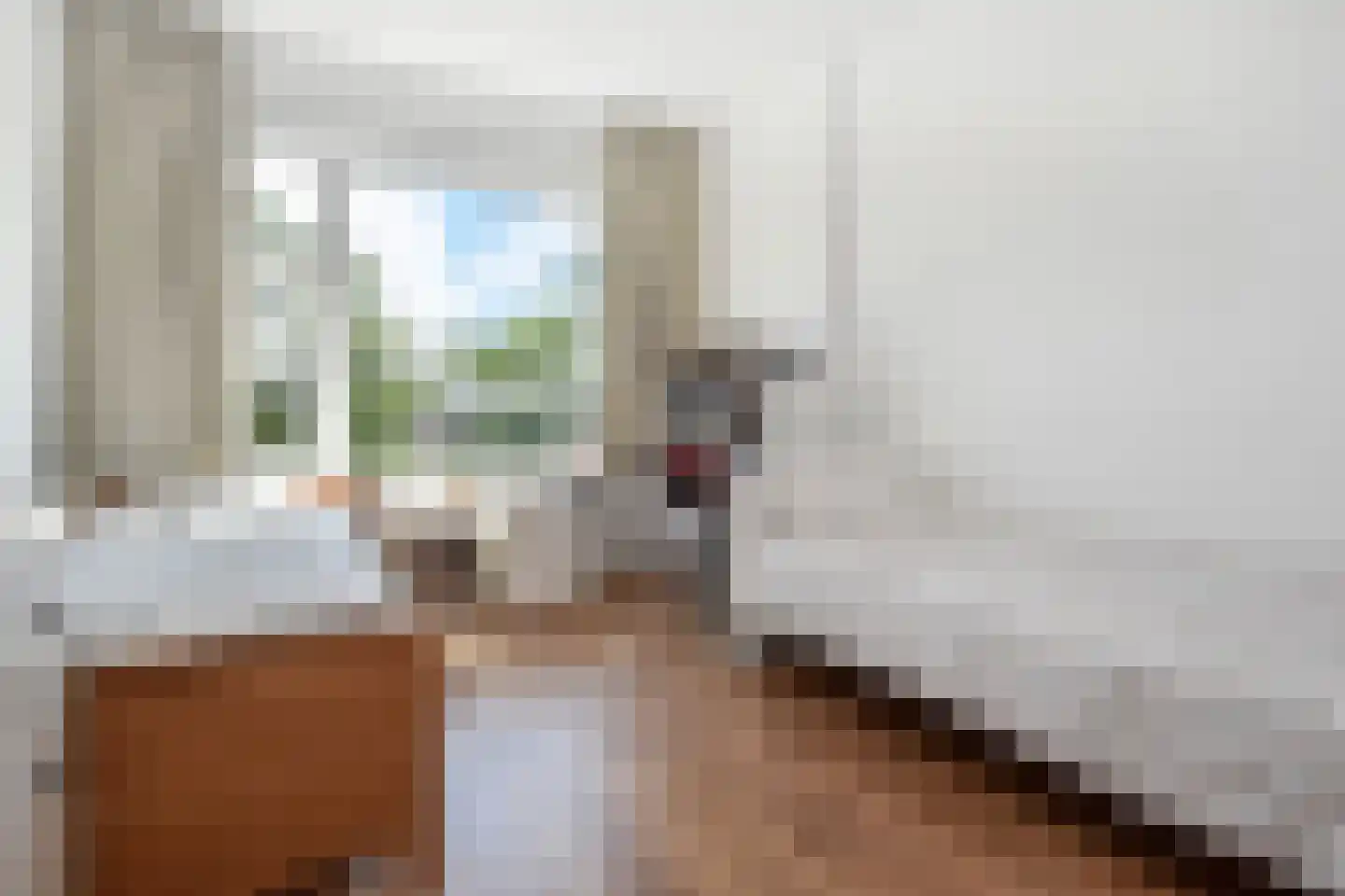 Segbroeklaan 248 Den Haag thumbnail 24