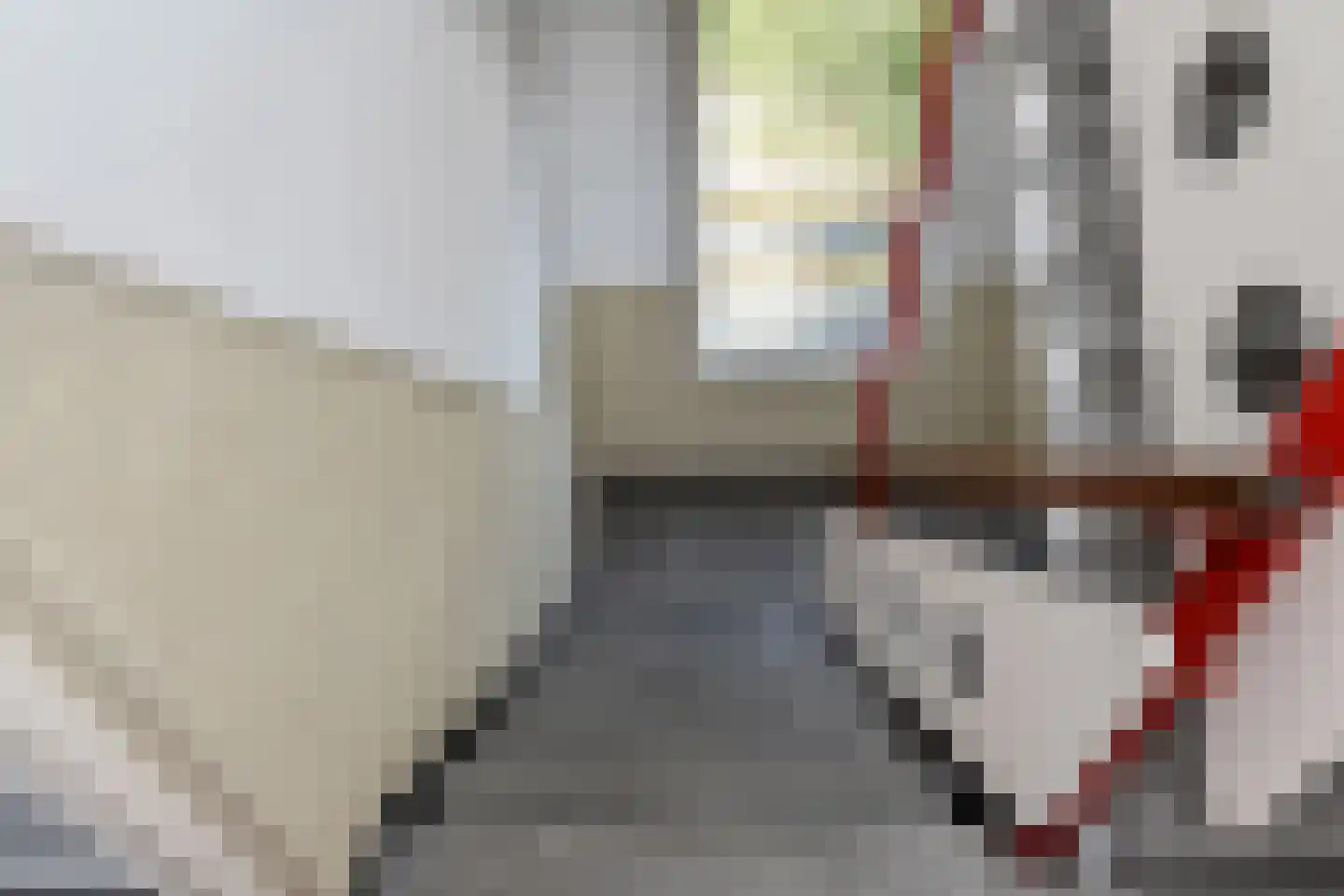 Segbroeklaan 248 Den Haag thumbnail 27