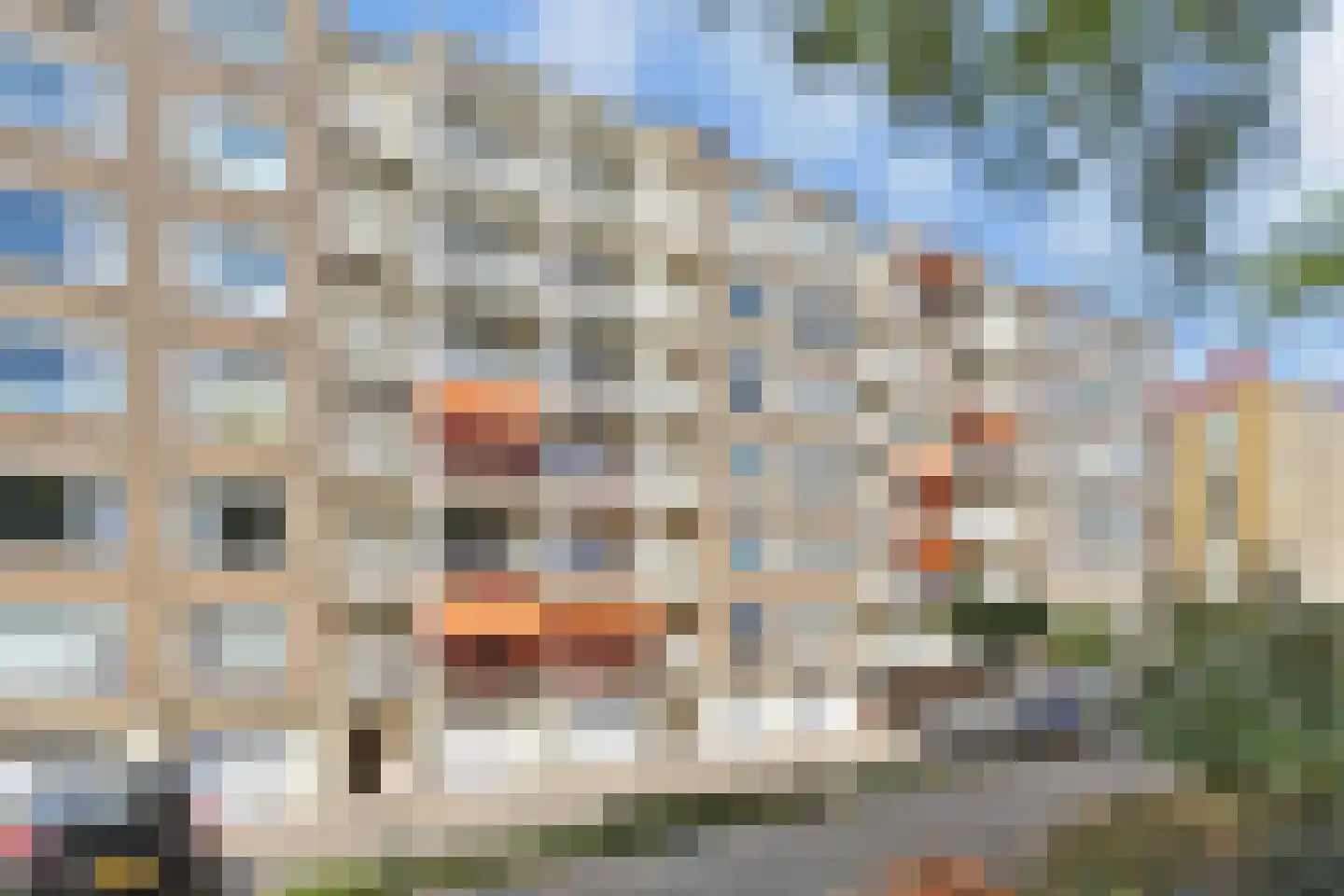 Segbroeklaan 248 Den Haag thumbnail 32