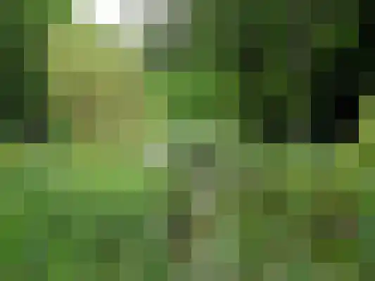 Segbroeklaan 248 Den Haag thumbnail 36