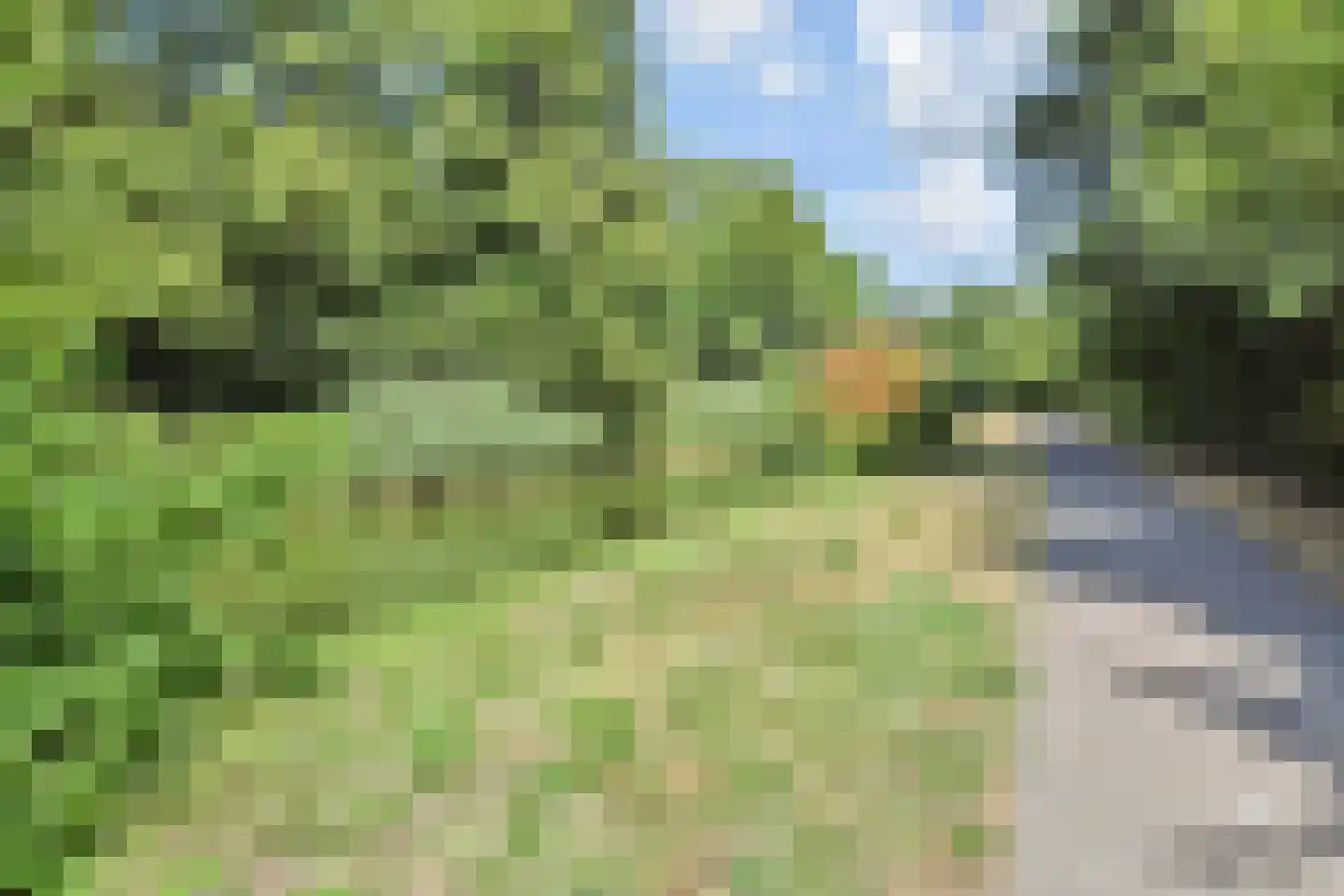 Segbroeklaan 248 Den Haag thumbnail 38