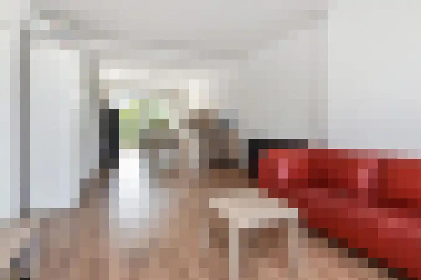 Segbroeklaan 248 Den Haag thumbnail 6