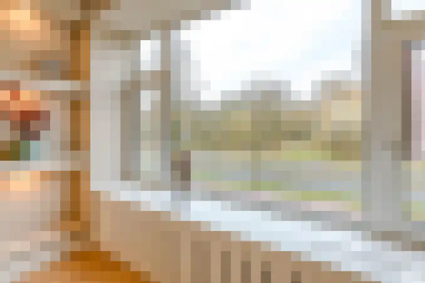 Segbroeklaan 266 Den Haag thumbnail 16