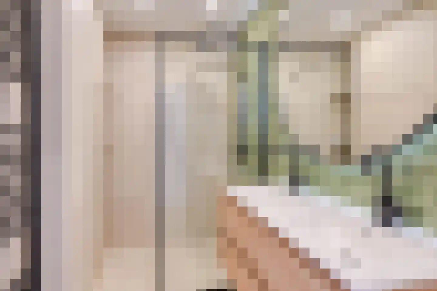 Segbroeklaan 266 Den Haag thumbnail 31