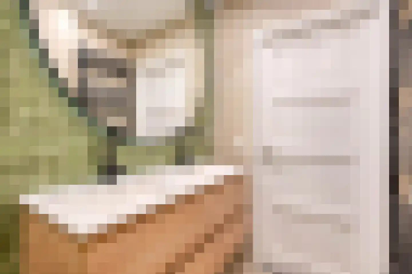 Segbroeklaan 266 Den Haag thumbnail 33