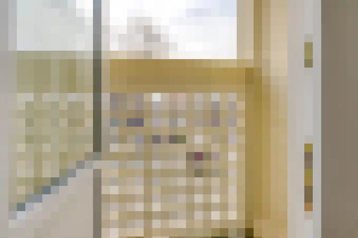 Segbroeklaan 266 Den Haag thumbnail 38