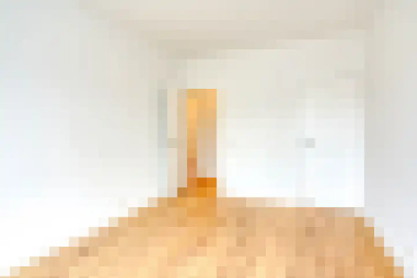 Segbroeklaan 266 Den Haag thumbnail 42