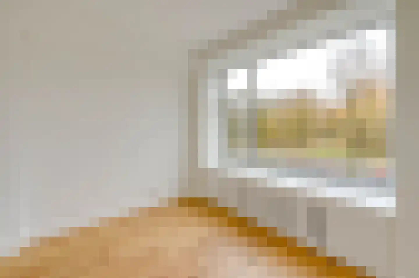 Segbroeklaan 266 Den Haag thumbnail 8