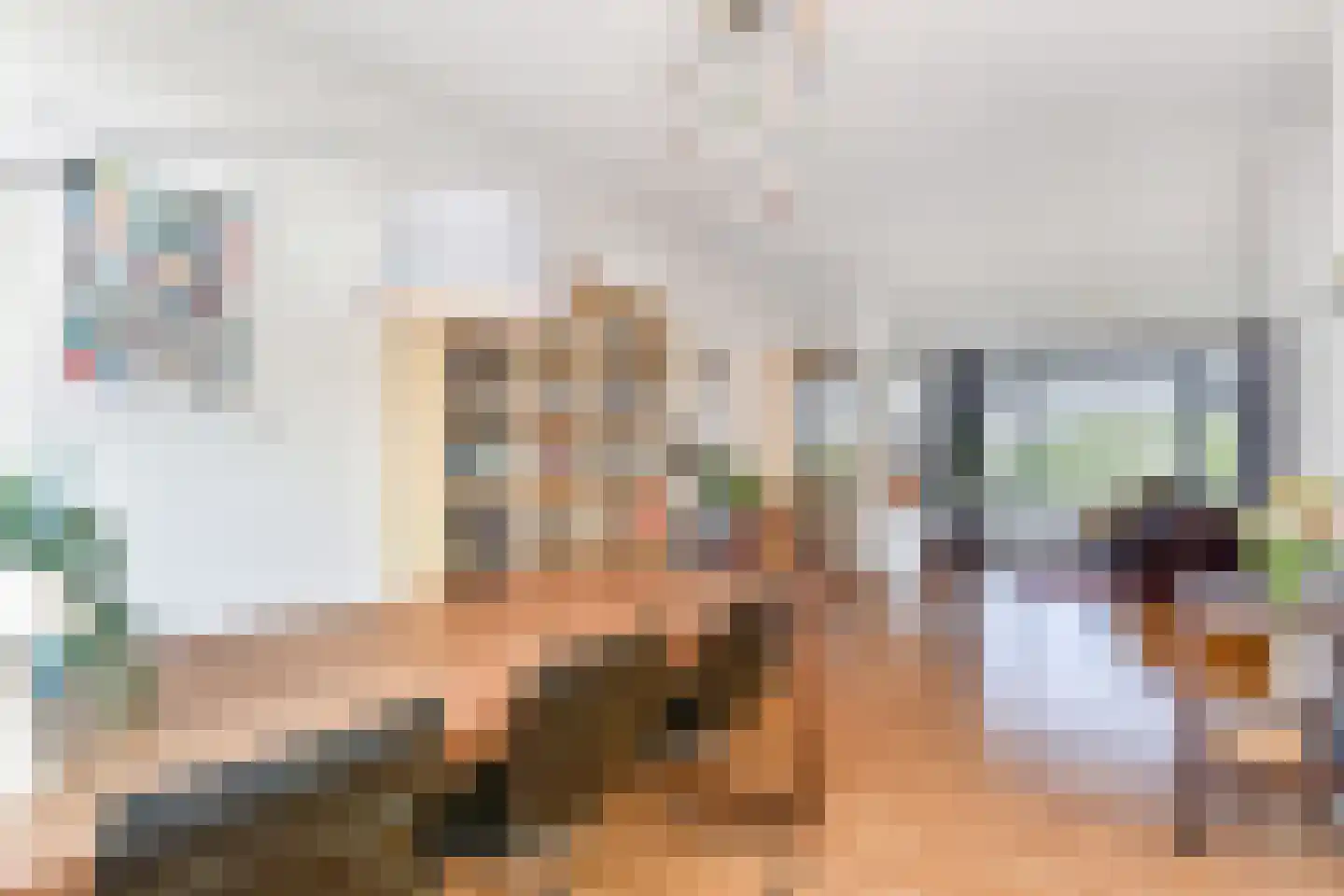 Segbroeklaan 276 Den Haag thumbnail 27