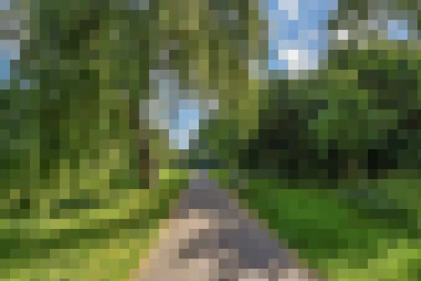 Segbroeklaan 276 Den Haag thumbnail 6