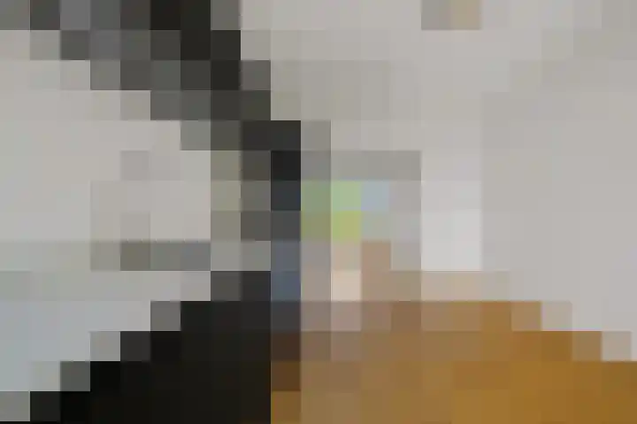 Segbroeklaan 284 Den Haag thumbnail 19