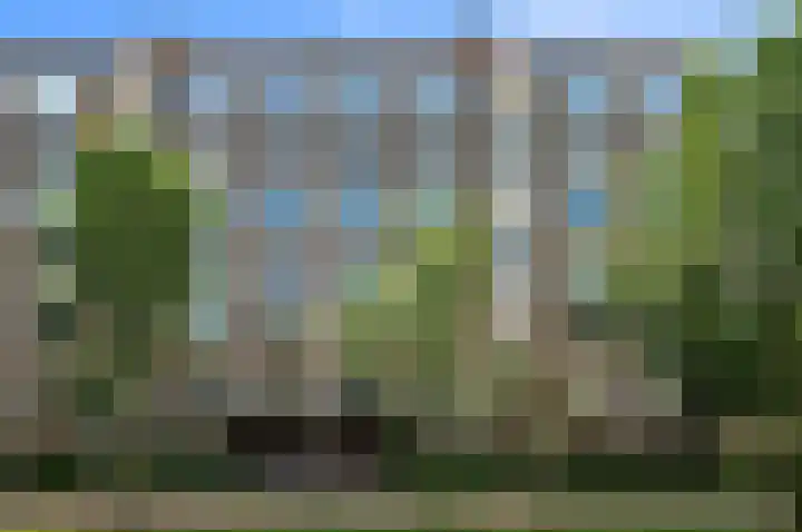 Segbroeklaan 284 Den Haag thumbnail 36