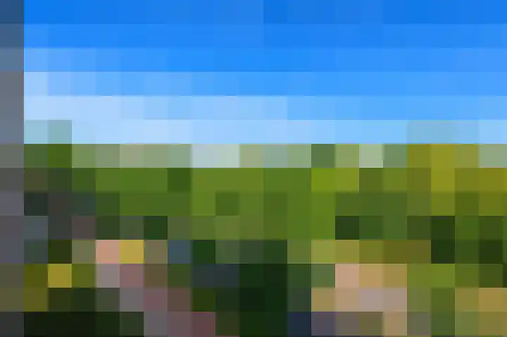 Segbroeklaan 284 Den Haag thumbnail 4