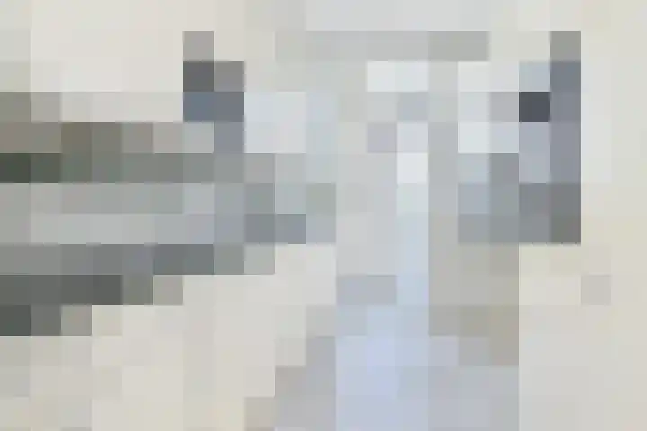 Segbroeklaan 298 Den Haag thumbnail 13