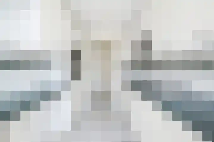 Segbroeklaan 298 Den Haag thumbnail 16