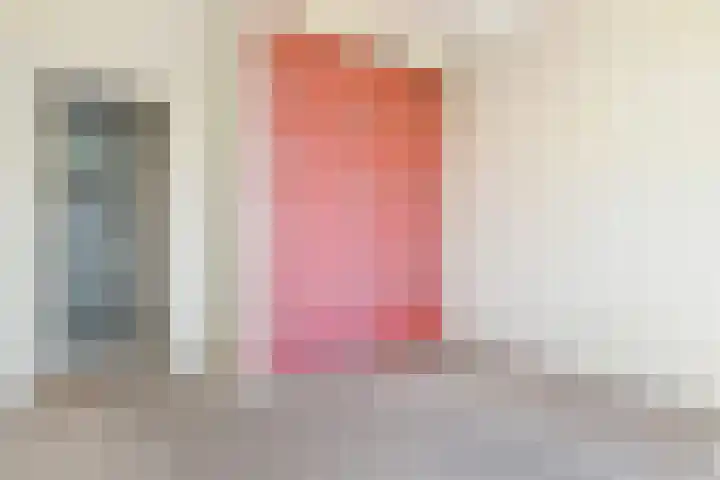 Segbroeklaan 298 Den Haag thumbnail 19