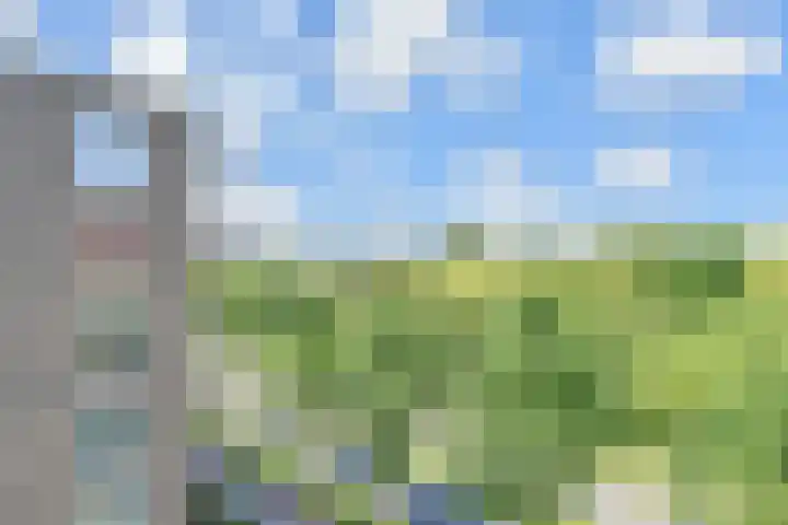 Segbroeklaan 298 Den Haag thumbnail 29