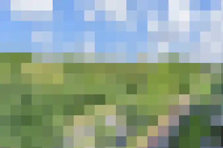 Segbroeklaan 298 Den Haag thumbnail 31