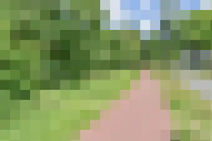 Segbroeklaan 298 Den Haag thumbnail 34