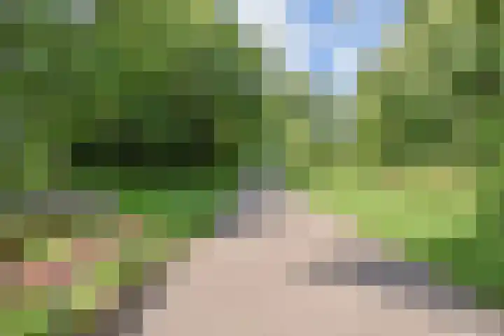 Segbroeklaan 298 Den Haag thumbnail 35