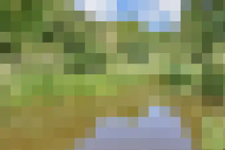 Segbroeklaan 298 Den Haag thumbnail 36