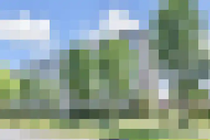 Segbroeklaan 298 Den Haag thumbnail 37