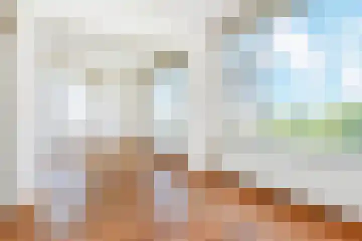 Segbroeklaan 298 Den Haag thumbnail 7