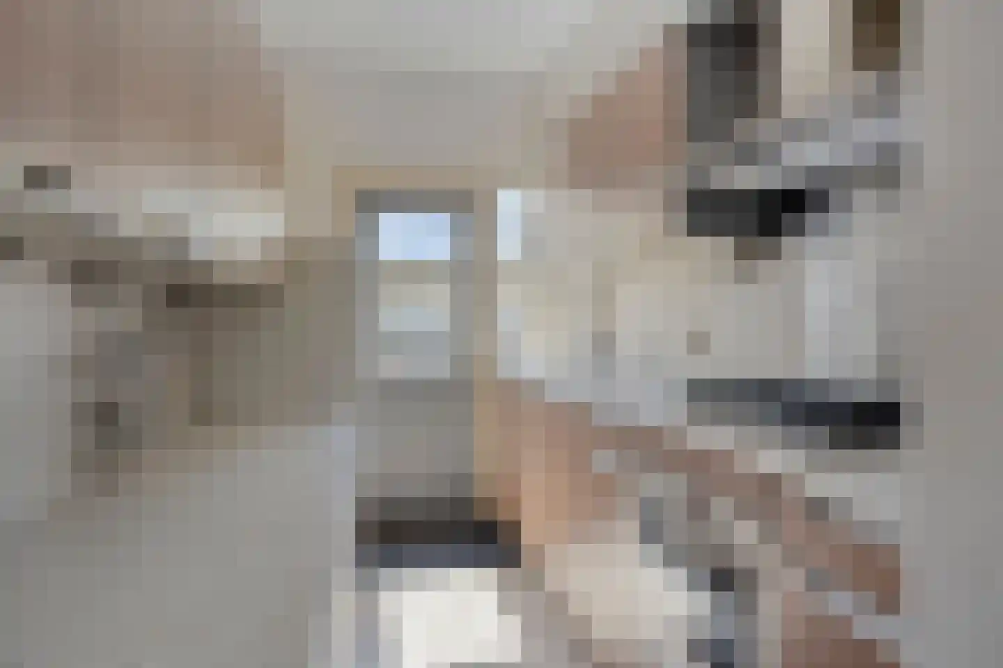 Segbroeklaan 352 Den Haag thumbnail 15