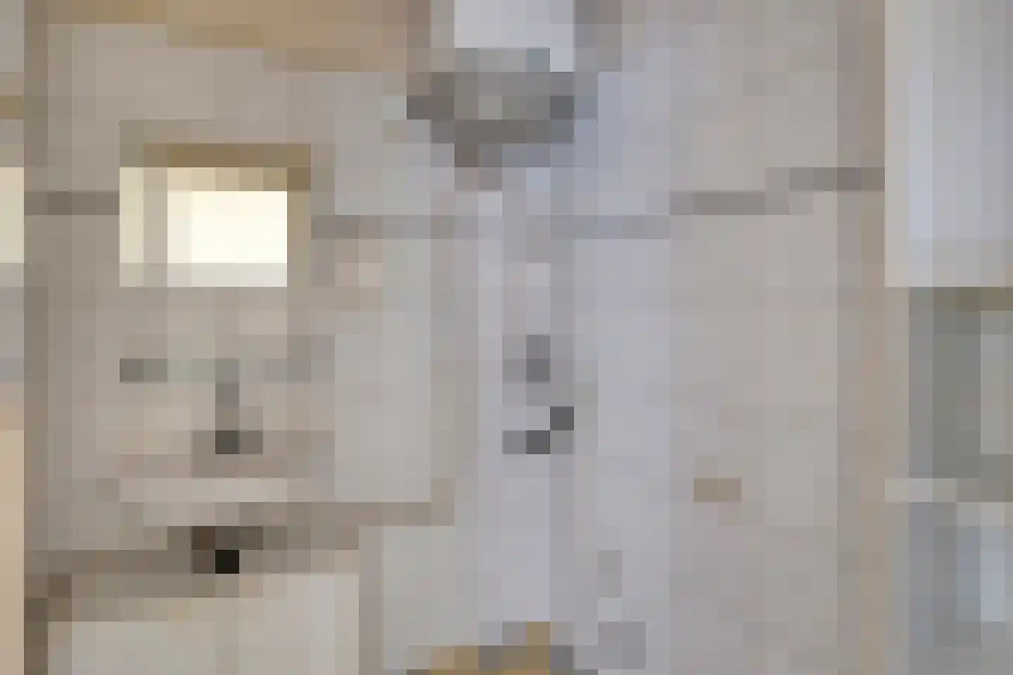 Segbroeklaan 352 Den Haag thumbnail 19