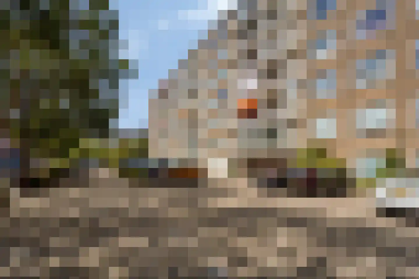Segbroeklaan 352 Den Haag thumbnail 20
