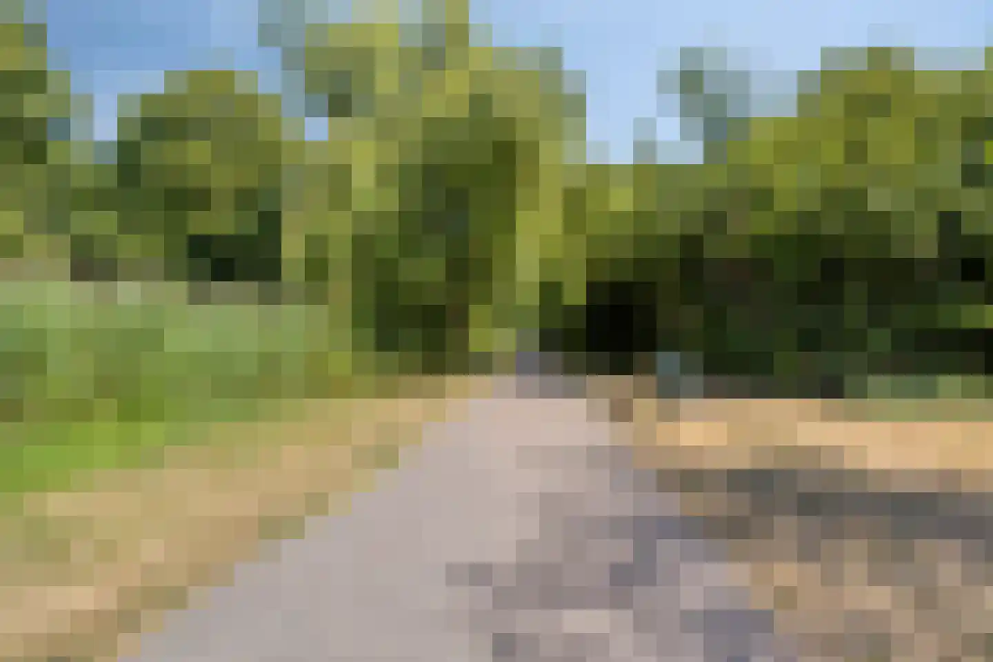 Segbroeklaan 352 Den Haag thumbnail 23