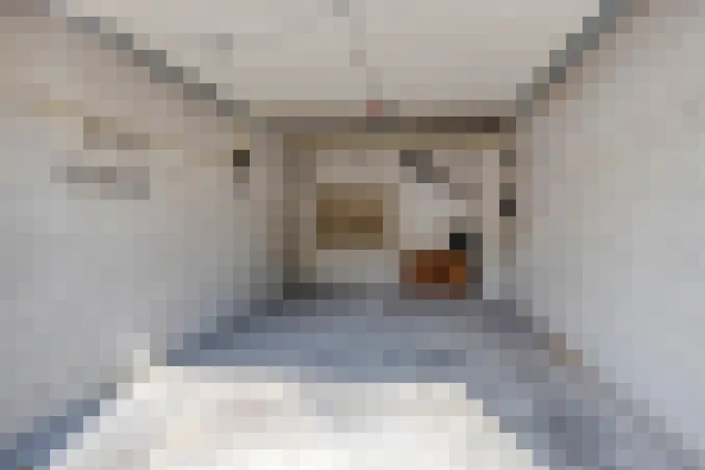 Segbroeklaan 352 Den Haag thumbnail 4