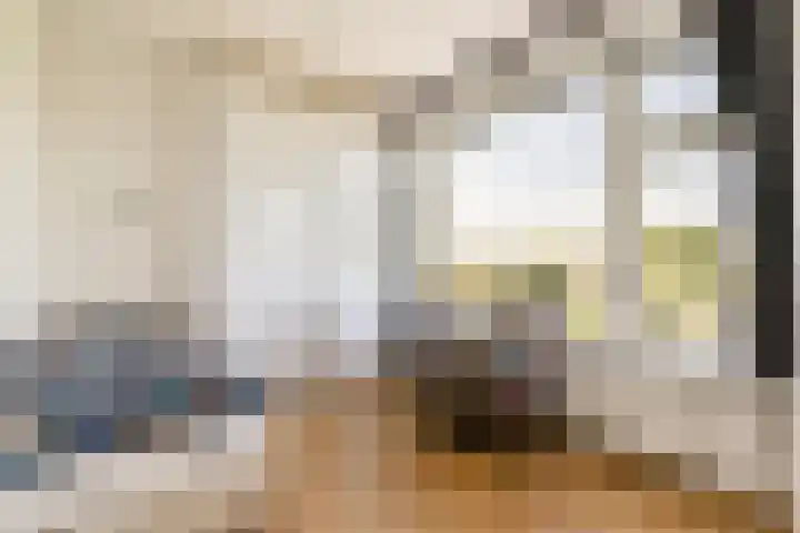 Segbroeklaan 364 Den Haag thumbnail 18