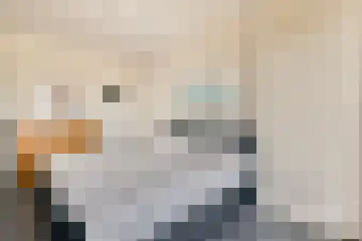 Segbroeklaan 364 Den Haag thumbnail 23