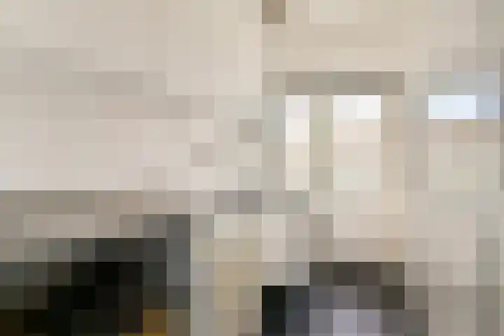 Segbroeklaan 364 Den Haag thumbnail 25