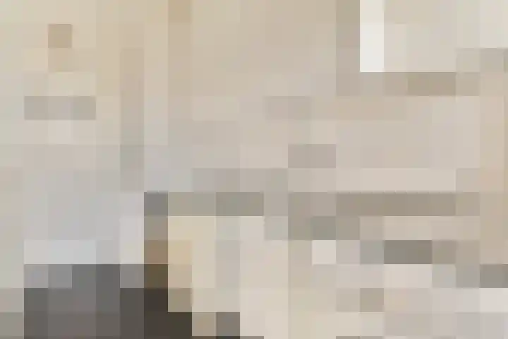 Segbroeklaan 364 Den Haag thumbnail 26