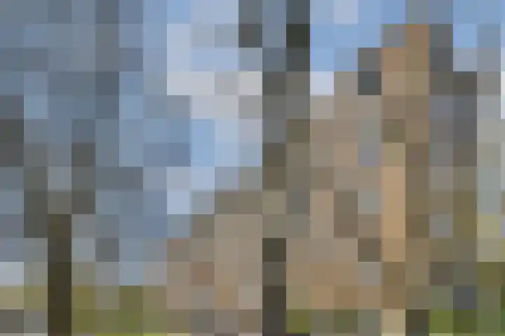 Segbroeklaan 364 Den Haag thumbnail 5