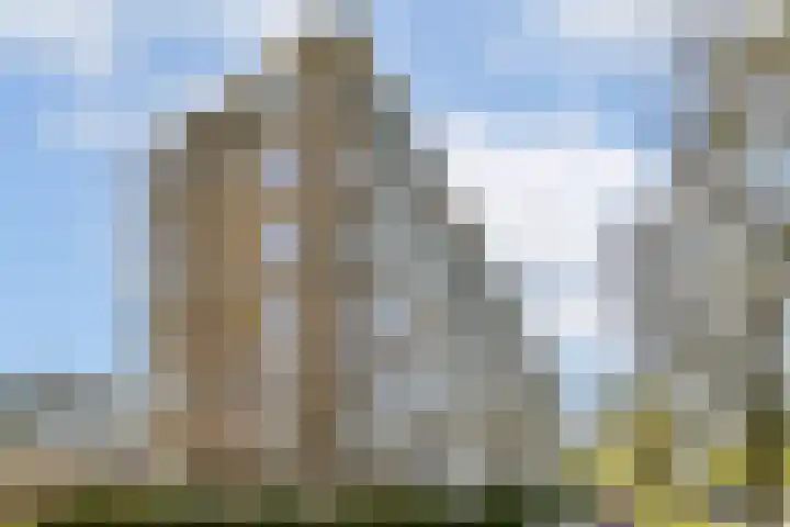 Segbroeklaan 364 Den Haag thumbnail 6