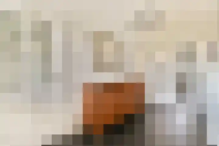 Segbroeklaan 364 Den Haag thumbnail 7