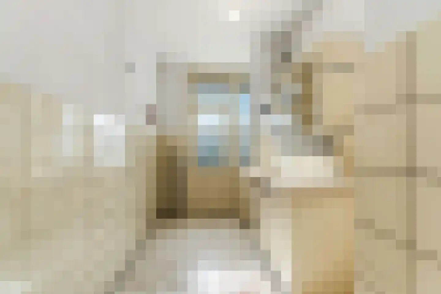 Segbroeklaan 372 Den Haag thumbnail 15