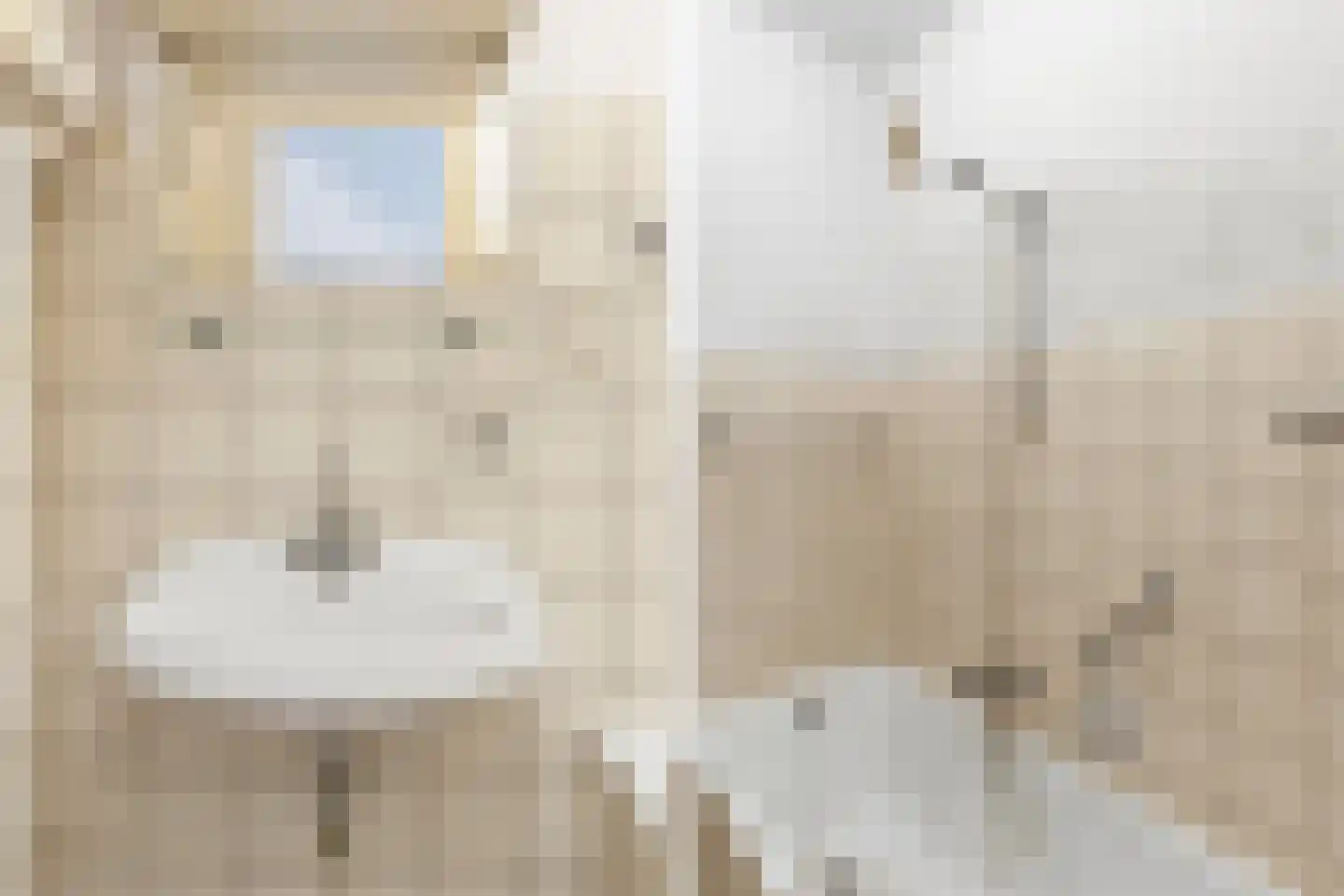 Segbroeklaan 372 Den Haag thumbnail 30