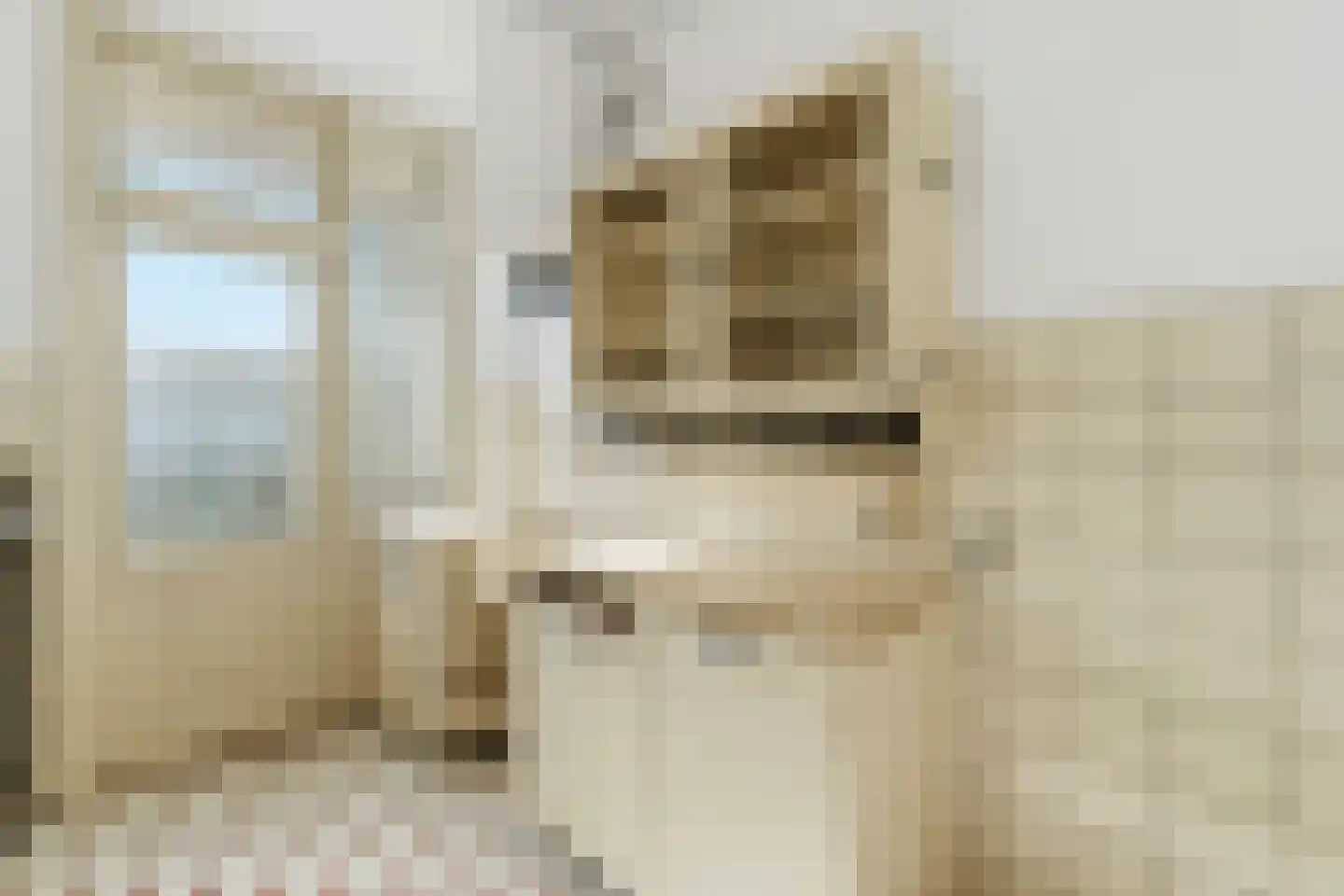 Segbroeklaan 372 Den Haag thumbnail 5