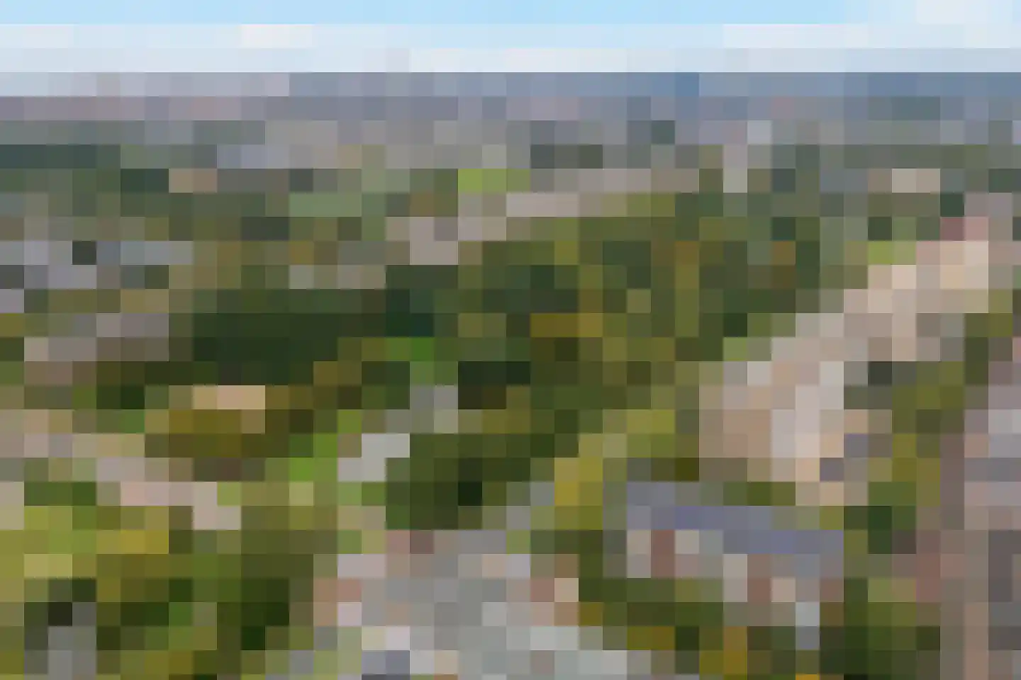 Segbroeklaan 372 Den Haag thumbnail 6