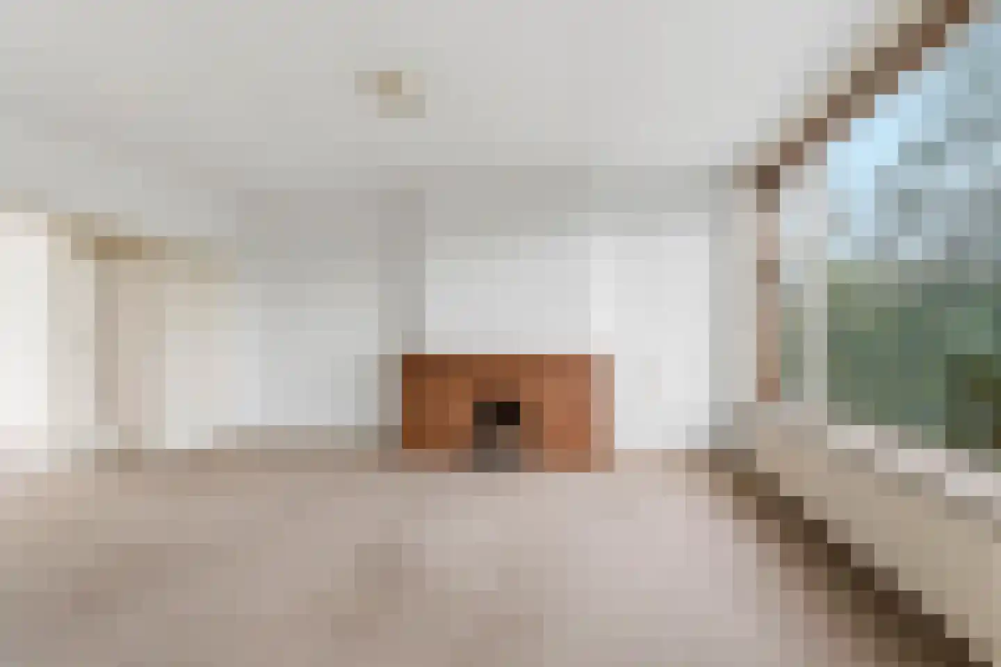 Segbroeklaan 372 Den Haag thumbnail 8