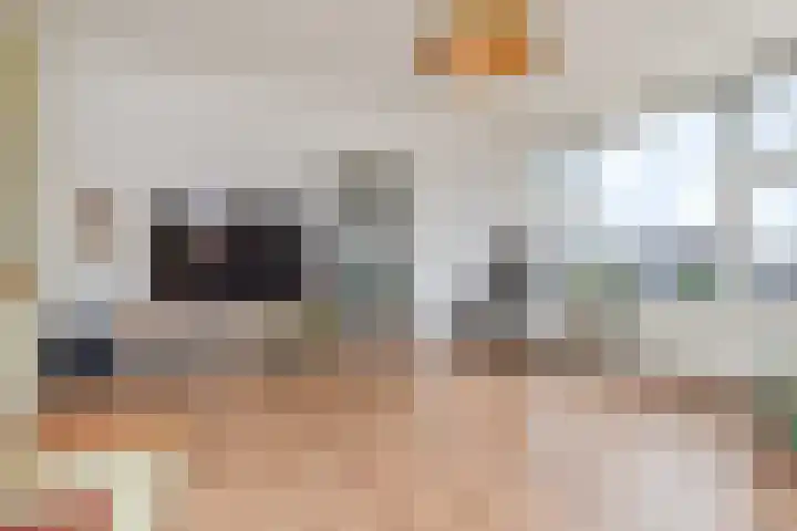 Segbroeklaan 394 Den Haag thumbnail 10