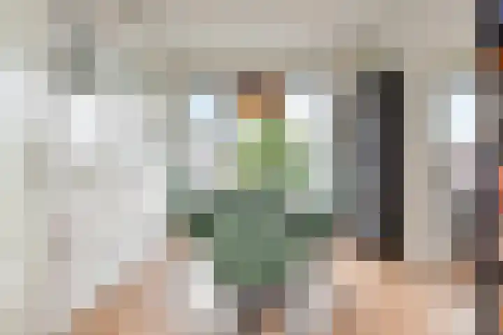 Segbroeklaan 394 Den Haag thumbnail 13