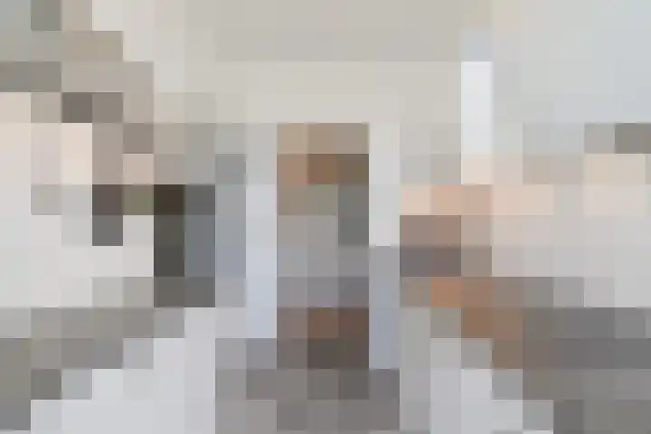 Segbroeklaan 394 Den Haag thumbnail 18