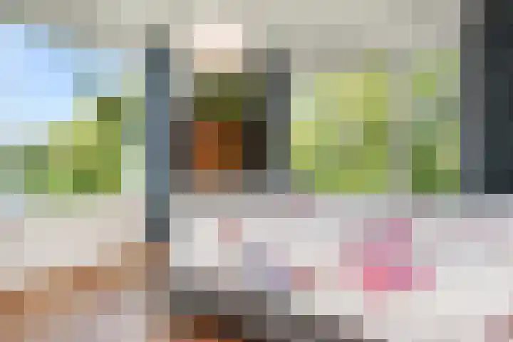 Segbroeklaan 394 Den Haag thumbnail 24
