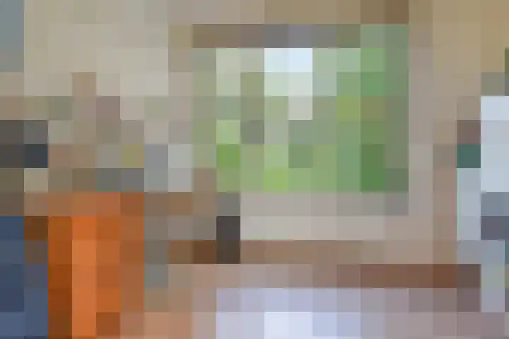 Segbroeklaan 394 Den Haag thumbnail 32